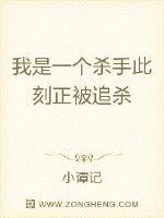 我是一個殺手此刻正被追殺