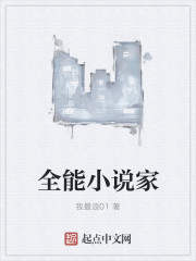 全能小說家