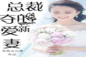 總裁的奪愛新妻